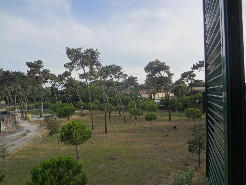 La Pineta Apartment Виареджо Екстериор снимка